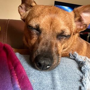 Mailing Label - Tennis Shoes